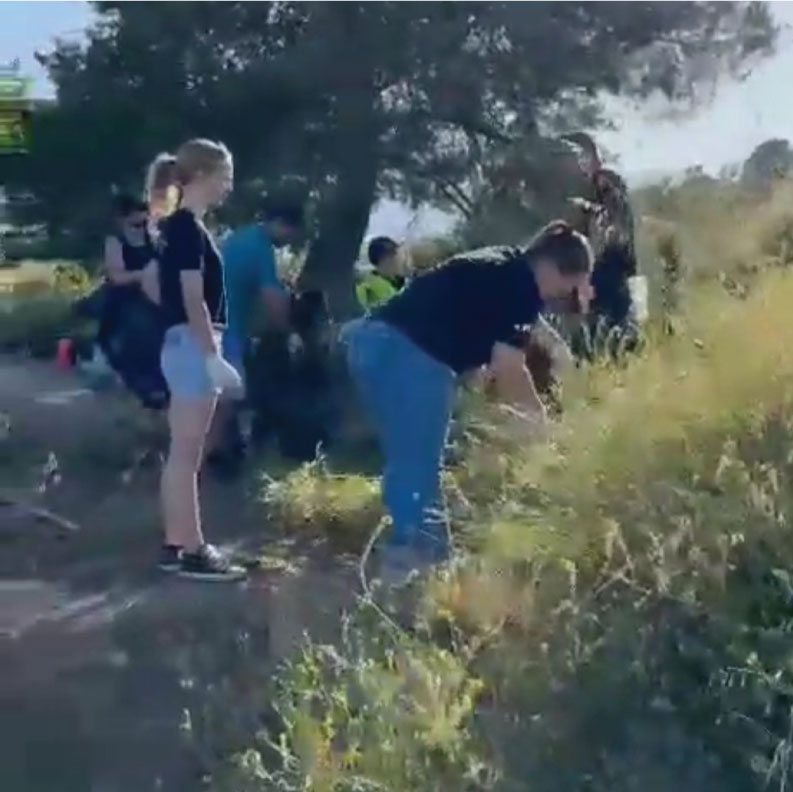 Community Work